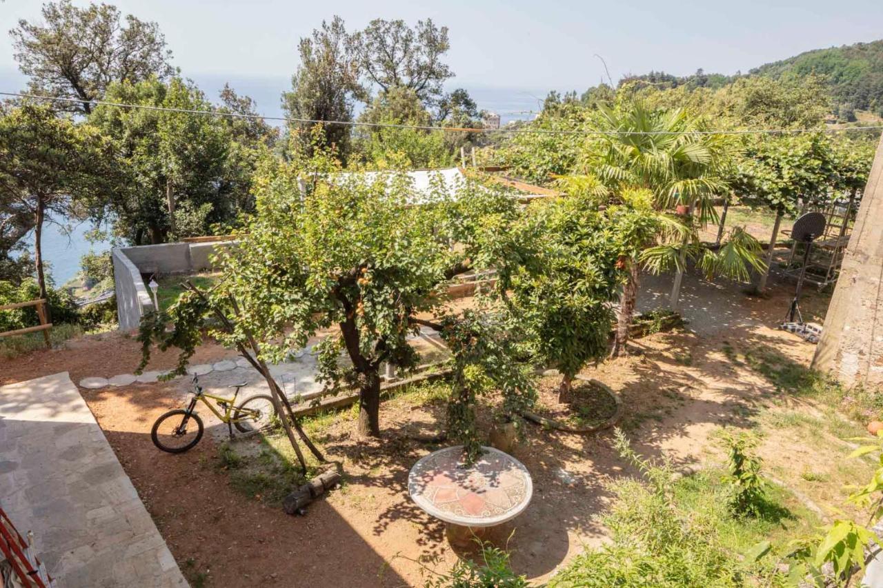 La Brigna B&B Il Bosco Sul Mare Gênes Extérieur photo